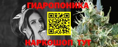 мяу мяу мука Будённовск