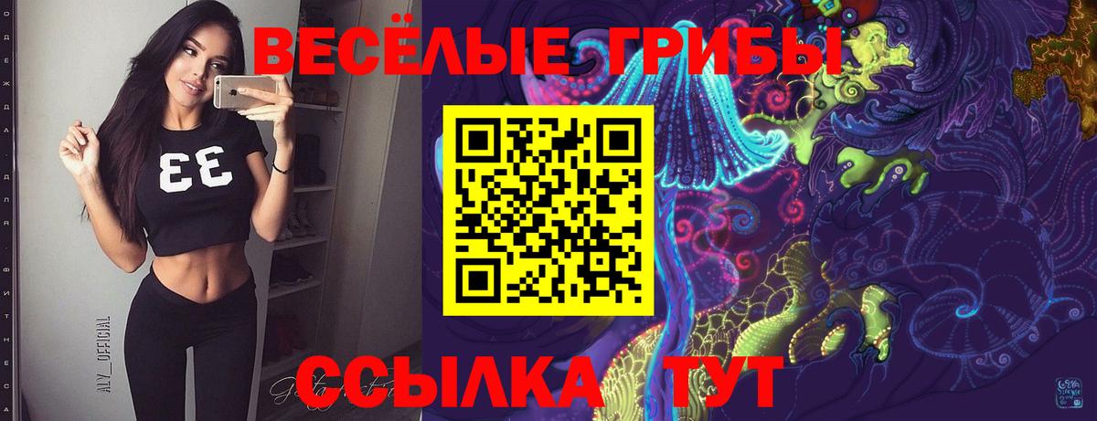 Северобайкальск  Псилоцибиновые грибы прущие грибы  закладки  Псилоцибиновые грибы MAGIC MUSHROOMS  Вход с VPN 